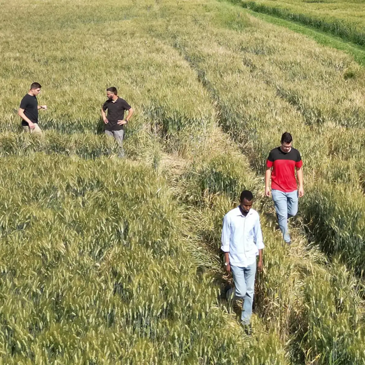 Students in the field